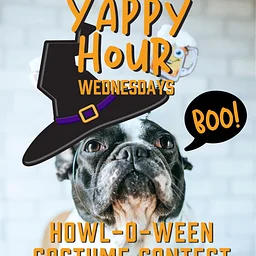 Last Yappy Hour - Costume Contest!