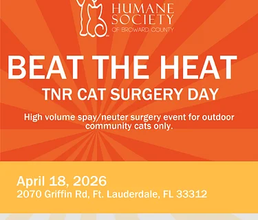 Beat The Heat – TNR Day