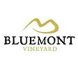 Bluemont Vineyard