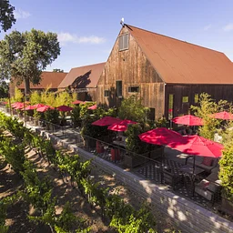 Treana Winery