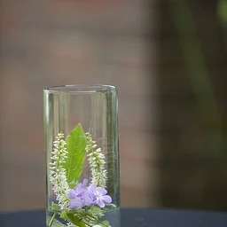 Go Native with Infused Vodkas