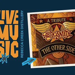 Aerosmith Tribute Band