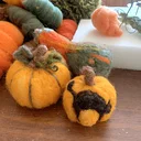 Needle Felting: Pumpkins & Gourds Workshop