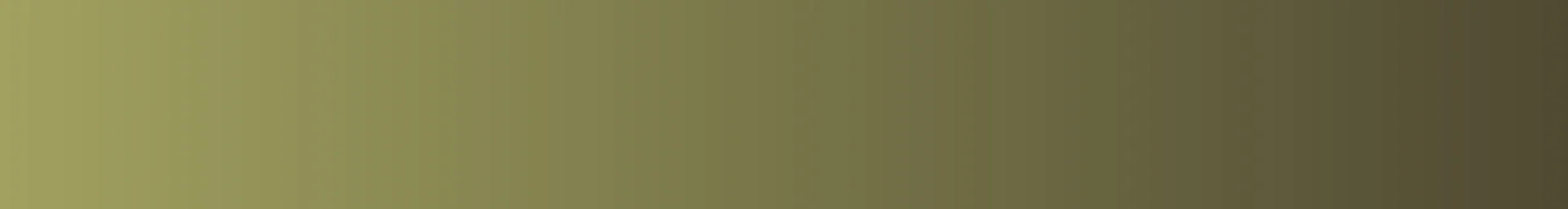 Marion County Historical Museum