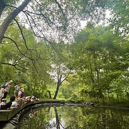 Day-Off Camp