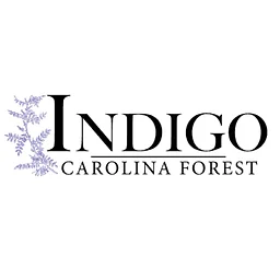 Live Christmas Music with the Indigo Carolina Forest Singers