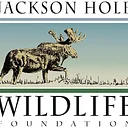 Jackson Hole Wildlife Foundation