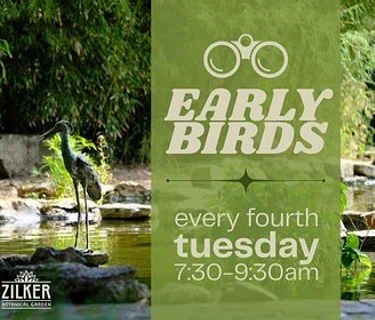 Early Birds in the Garden