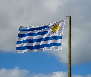 Wine Wednesday: Uruguay