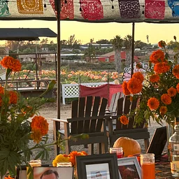 Día de los Muertos Festival