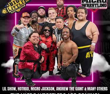 Micro Wrestling