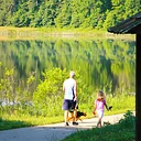 Let’s Move It: An Interpretive Health Hike