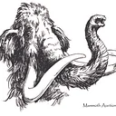 Annual Mammoth Auction & Sale Fundraiser