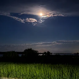 Moonlight Hike