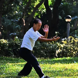 Tai Chi with Richard Lim