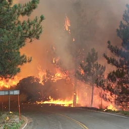 Company Officer 2E: Wildland Incident Operations – Schell-Vista Fire Protection District, Sonoma – December 2026