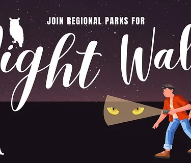 Night Scavenger Walk at Mojave Narrows