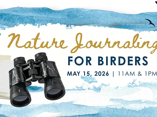 Nature Journaling for Birders