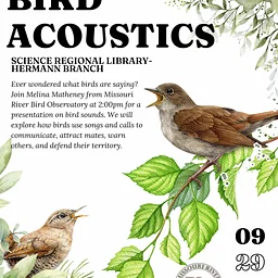 Bird Acoustics Presentation