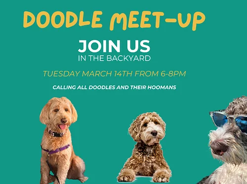 Doodle Meet Up