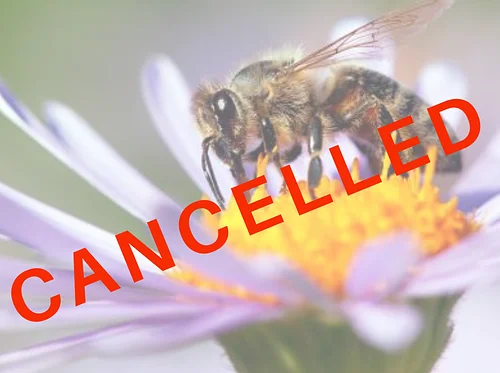 Powerful Pollinators with Smithsonian’s Discovery Theater