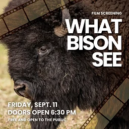 Film Screening: What Bison See