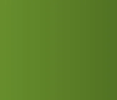 Music Bingo w/ Steve McNally