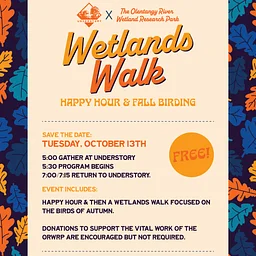 Wetlands Walk: Happy Hour & Fall Birding (Copy)