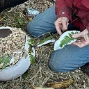 Pit-Fired Pinch Pot Workshop with Natalie Boorman