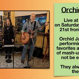 Orchid Jane Covers High Court Pub!