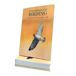 An Experiment in Birding