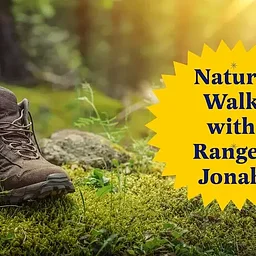 Nature Walk with Ranger Jonah