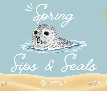 Spring Sips & Seals