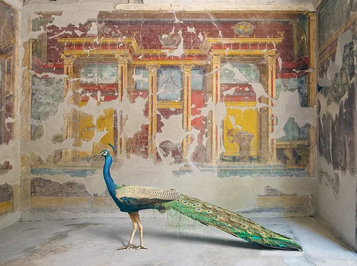 Karen Knorr – “Scavi”