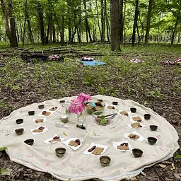 Guided Shinrin-yoku: Rest & Reconnect in Nature