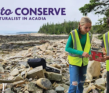 Observe to Conserve: Learning iNaturalist in Acadia (7/24)