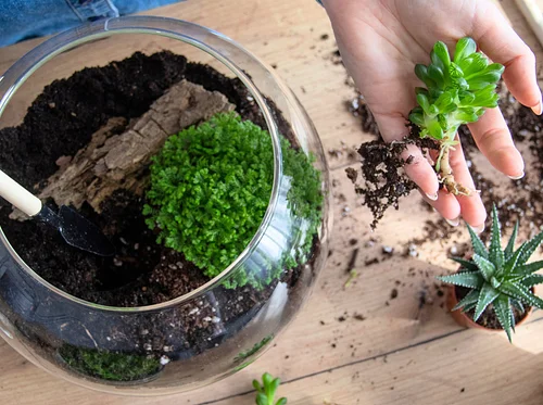 Spring Break Garden Workshop