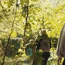 Forest Bathing