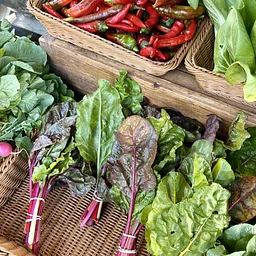 Weekly Pop-up Market