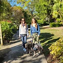Dogs’ Day in the Garden