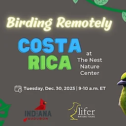 Birding Remotely: Costa Rica at The Nest Nature Center I