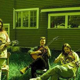 Dadweed (Bluegrass)