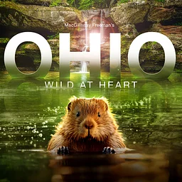 Ohio: Wild at Heart
