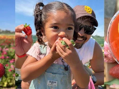 Strawberry Saturday Celebration | A Grown Up & Mini Version