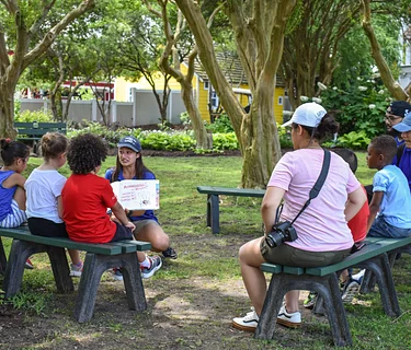 Zoo Tales