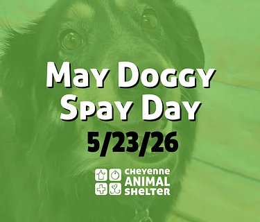 May Doggy Spay Day