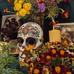 Día de los Muertos Celebration