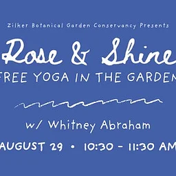Rose and Shine: Free Yoga in the Garden