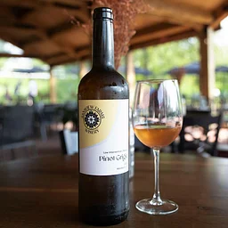 Autumn Sips: Fall Colors, Wood-Fired Food, and Organic Wine