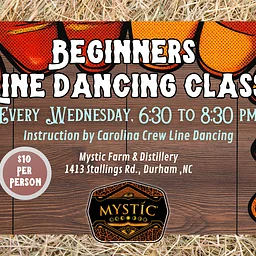Dedicated Beginner Line Dance Class